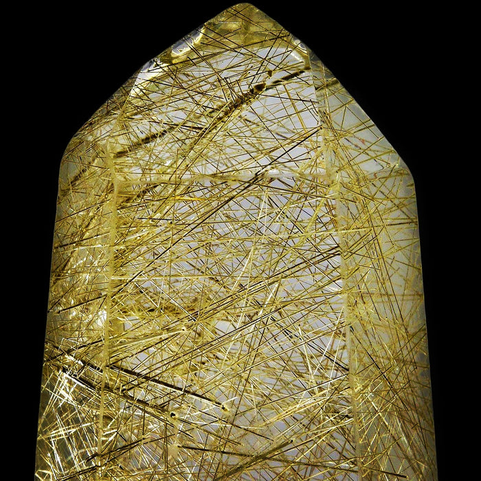 Polished Termination