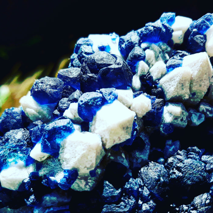 Rare Specimens