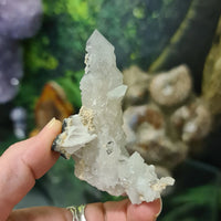 Quartz Sceptre cluster