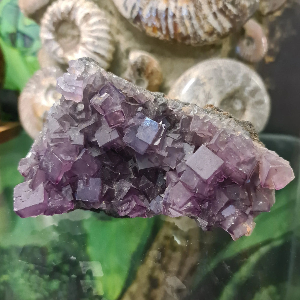 Purple Fluorite Cluster