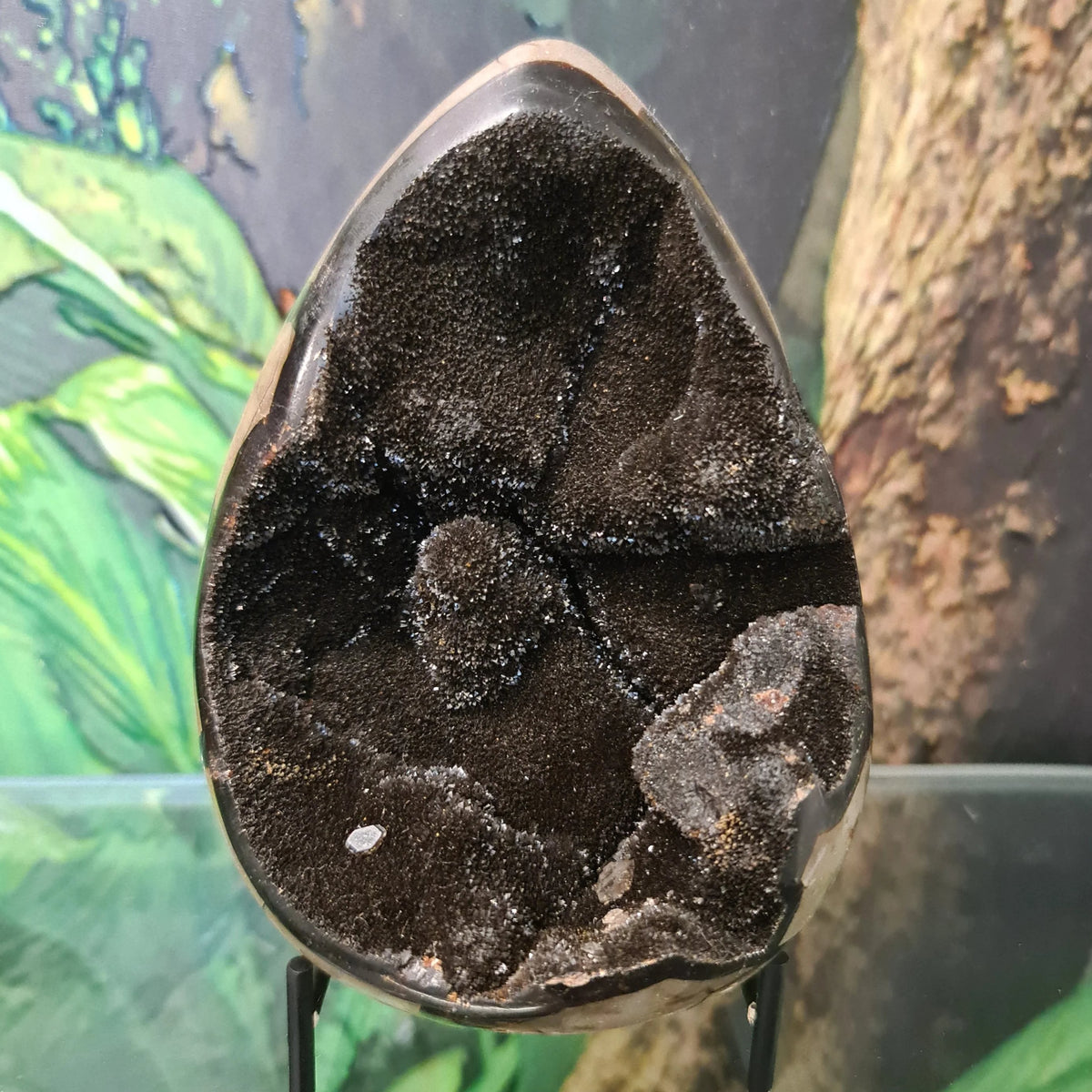 Septarian Dragon Egg