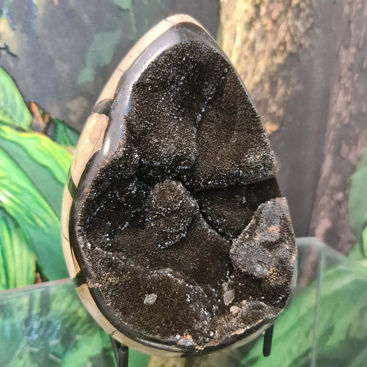 Septarian Dragon Egg