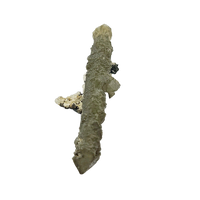 Chlorite Quartz Sceptre