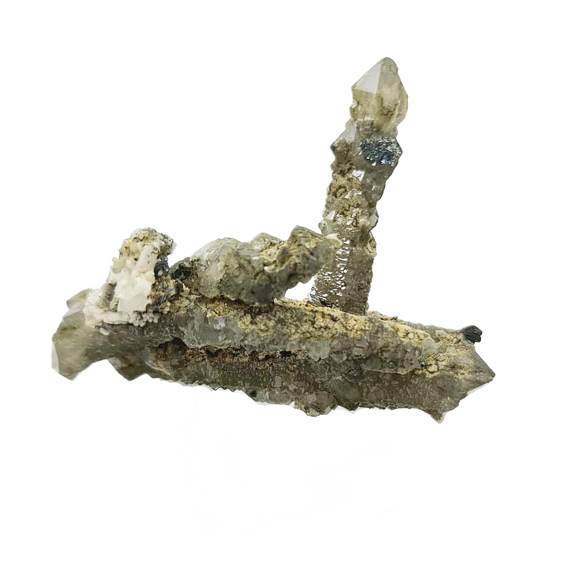 Chlorite Quartz Sceptre