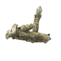 Chlorite Quartz Sceptre