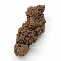 Coprolite