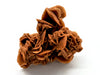 Desert Rose