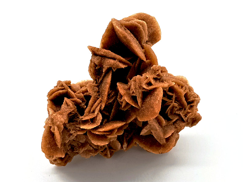 Desert Rose