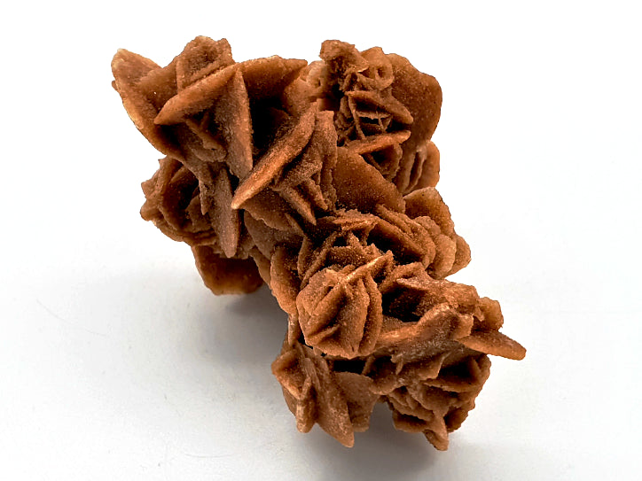 Desert Rose