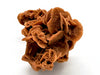 Desert Rose