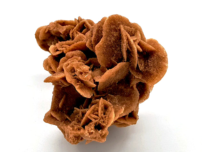 Desert Rose