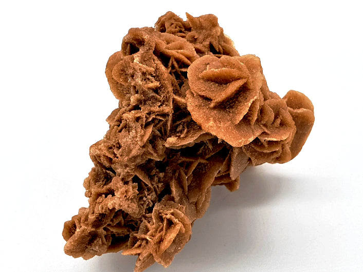 Desert Rose