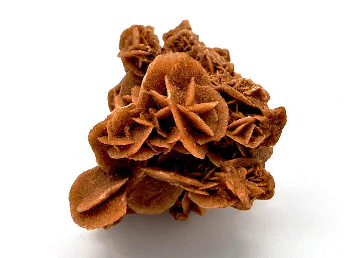 Desert Rose