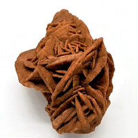 Desert Rose Cluster