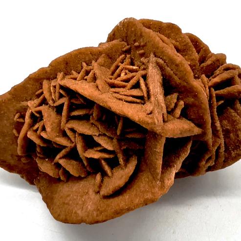 Desert Rose Cluster