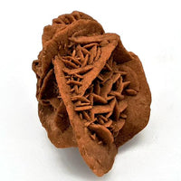 Desert Rose Cluster