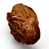 Desert Rose