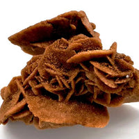 Desert Rose Cluster