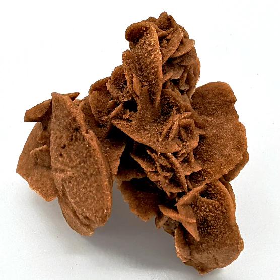 Desert Rose Cluster