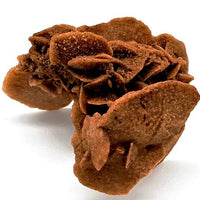 Desert Rose Cluster