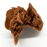 Desert Rose Cluster