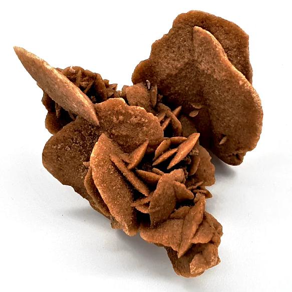 Desert Rose Cluster