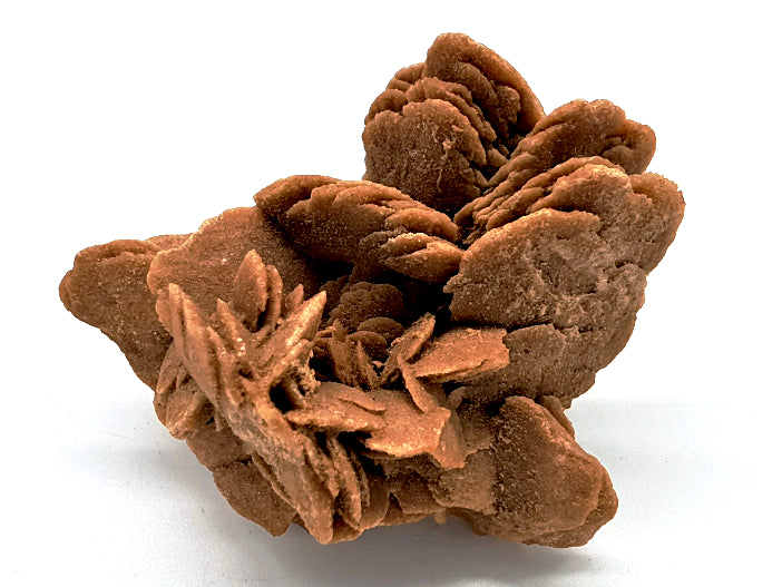 Desert Rose