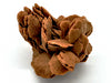 Desert Rose