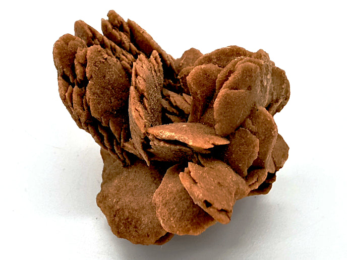 Desert Rose