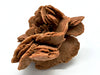 Desert Rose
