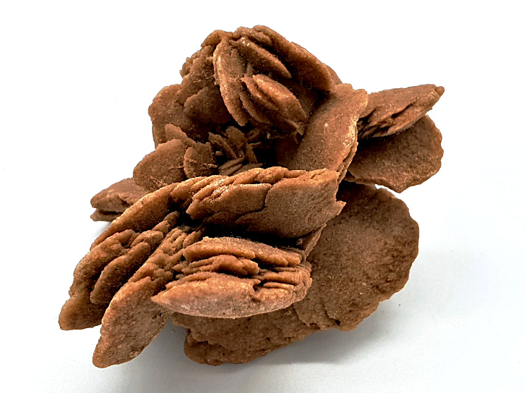 Desert Rose