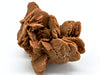 Desert Rose