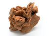 Desert Rose