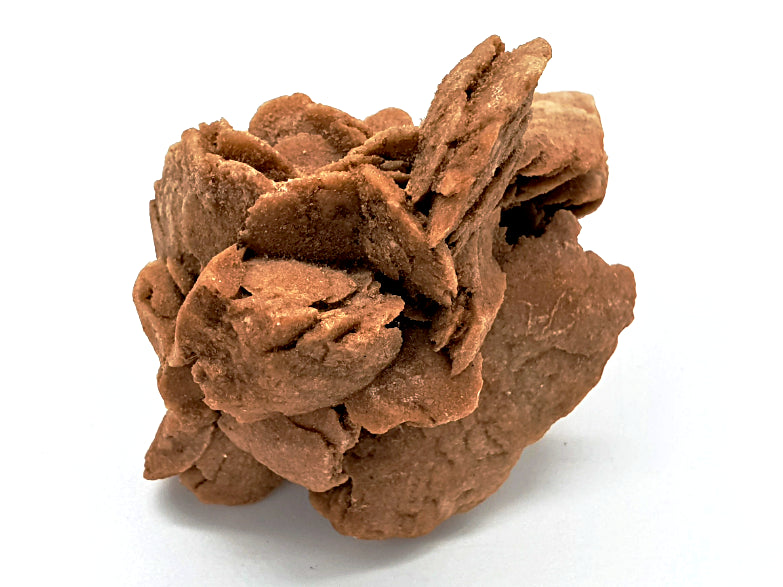 Desert Rose