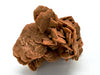 Desert Rose