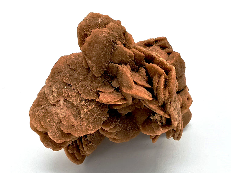 Desert Rose
