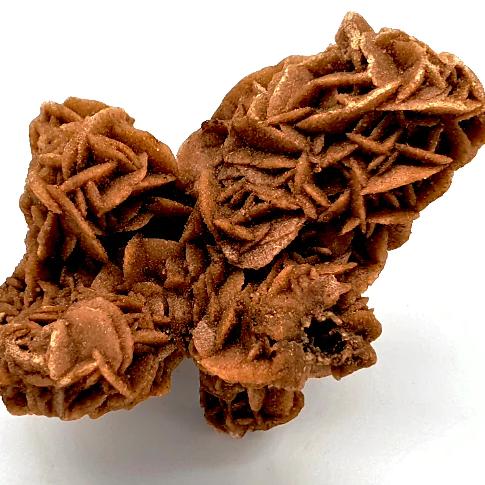 Desert Rose