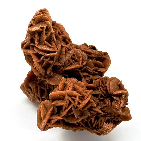 Desert Rose