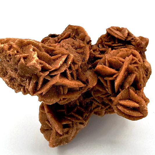 Desert Rose