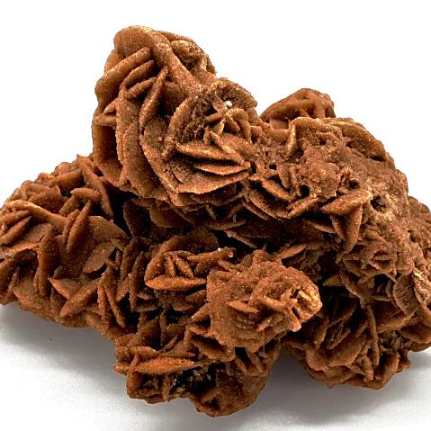 Desert Rose