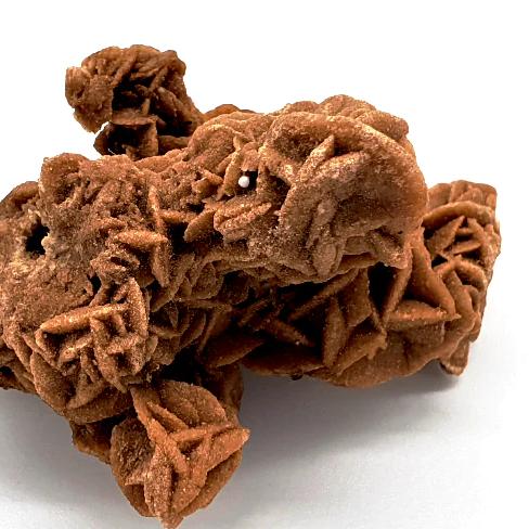 Desert Rose